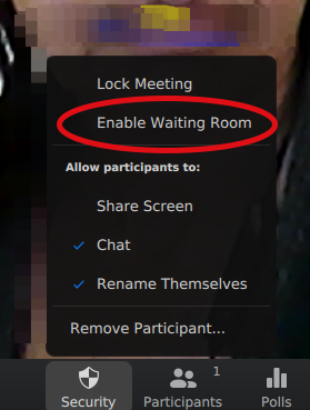 ../../../_images/host_security_waiting_room.png